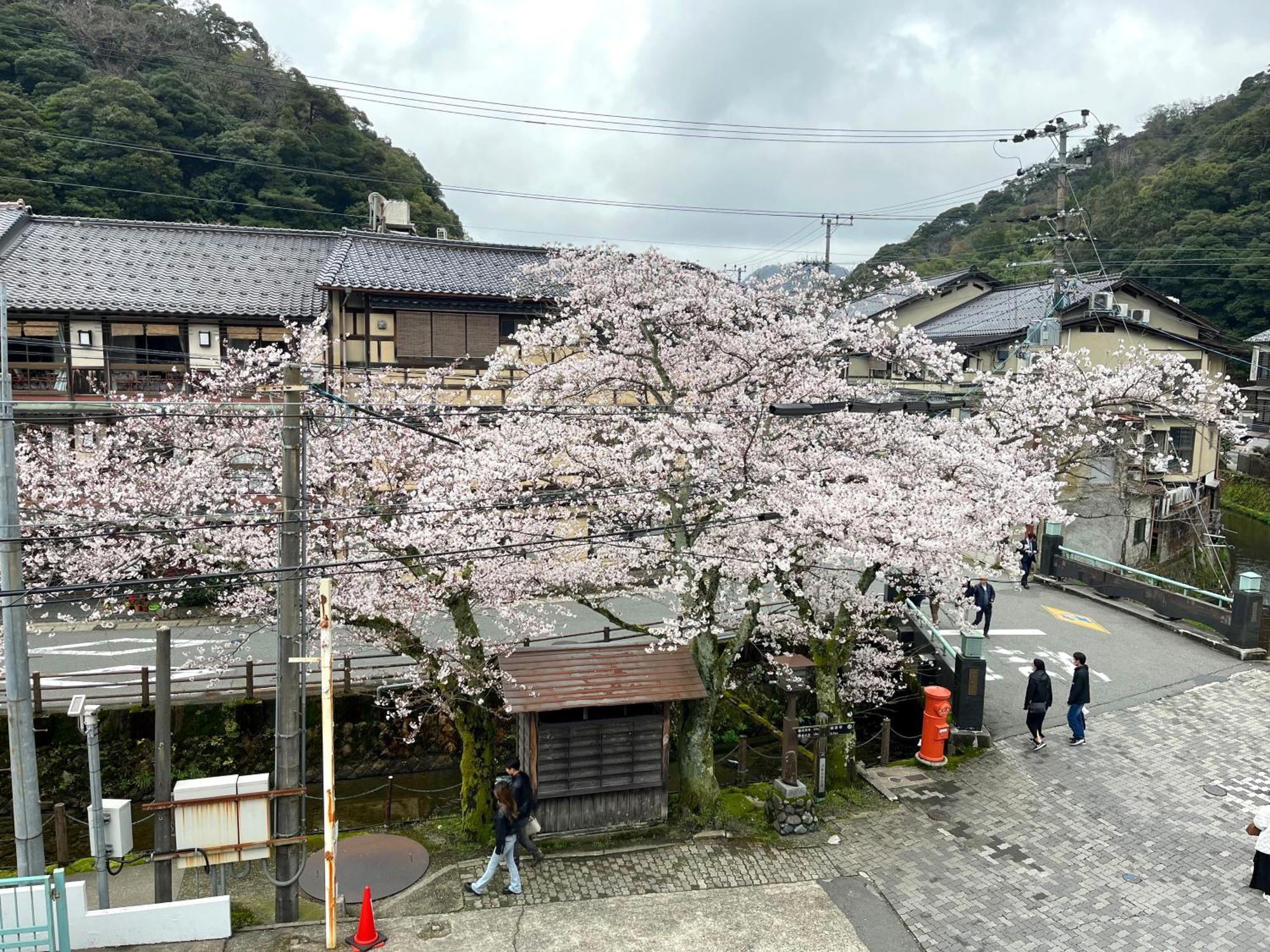 城崎温泉一棟貸し　旅宿yadokari Toyooka (Hyogo) Exterior foto